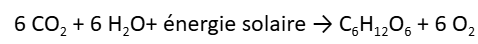 Formule "6 CO2​ + 6 H2​O+ énergie solaire → C6​H12​O6 ​+ 6 O2"
